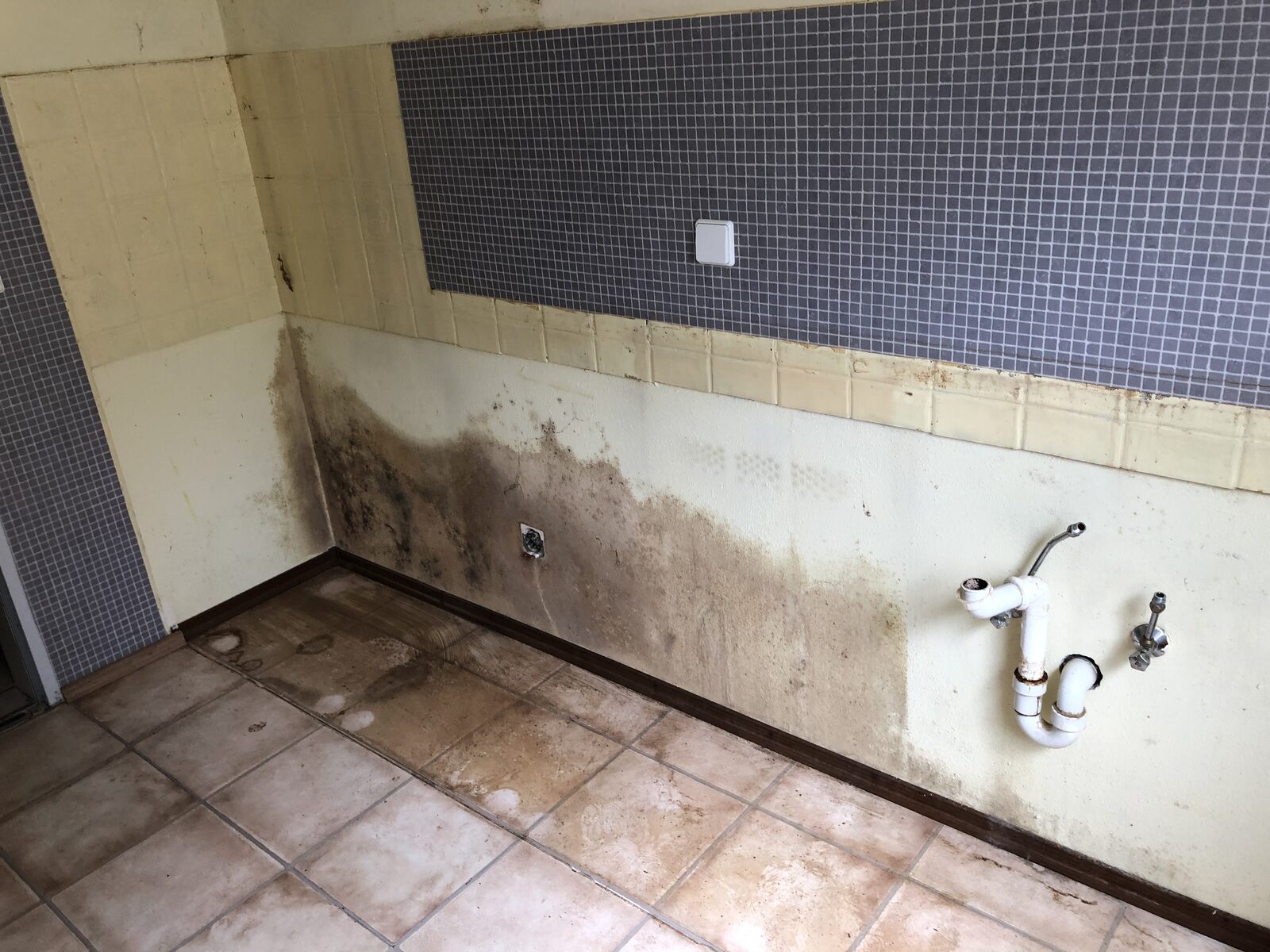 Vorher – Schimmelsanierung